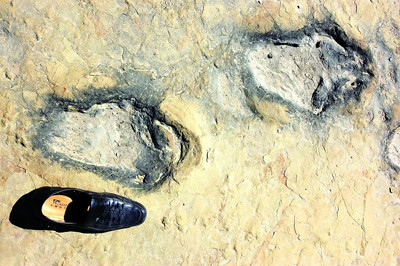 神木恐龍腳印化石