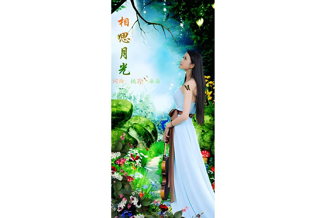 相思月光 相思月光