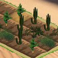 沙漠綠化植樹造林