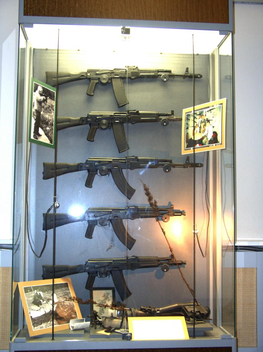 AK100步槍(AK100)