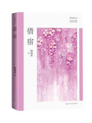 借宿(2022年人民文學出版社出版的圖書) 借宿(2022年人民文學出版社出版的圖書)