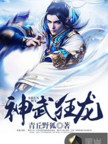 神武狂龍(青丘野狐創作的網路小說) 神武狂龍(青丘野狐創作的網路小說)