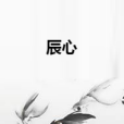 辰心 辰心