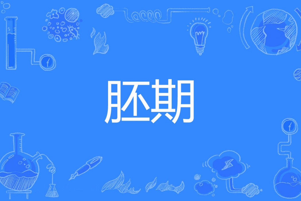 胚期 胚期