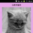 治癒系貓咪 治癒系貓咪