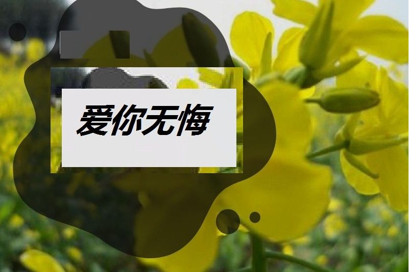 愛你無悔(焦立松演唱歌曲) 愛你無悔(焦立松演唱歌曲)