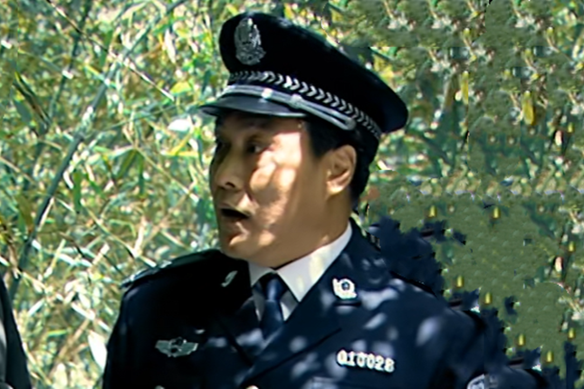 柳楊(刑偵劇《刑警使命》中的角色) 柳楊(刑偵劇《刑警使命》中的角色)