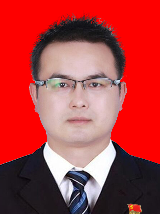 陳照林(貴州省都勻市副市長) 陳照林(貴州省都勻市副市長)
