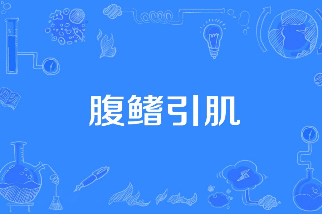 腹鰭引肌
