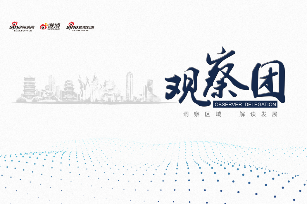 觀察團 觀察團