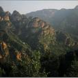 北明村 北明村