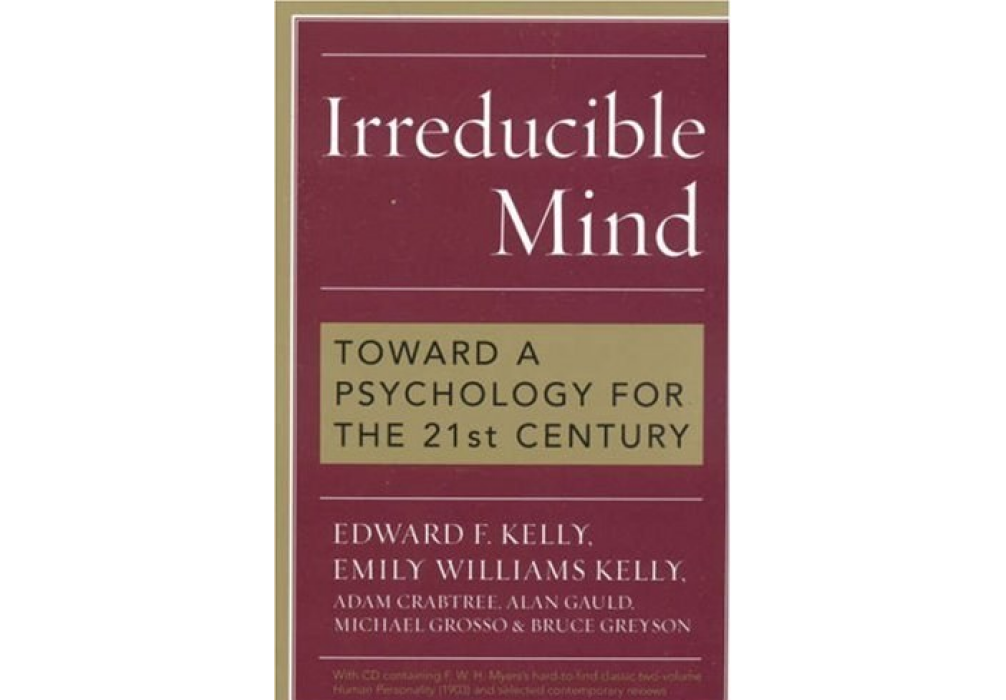 Irreducible Mind Irreducible Mind