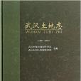 武漢土地誌 武漢土地誌