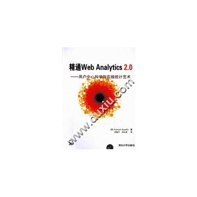 精通Web Analytics 2.0