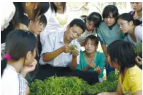 張慎璞 張慎璞