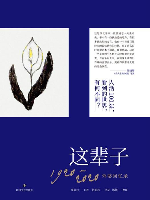 這輩子(2020年四川文藝出版社出版的圖書) 這輩子(2020年四川文藝出版社出版的圖書)