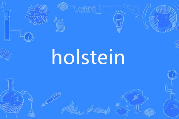 holstein holstein