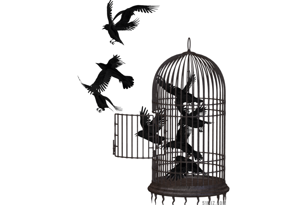逸鳥 逸鳥
