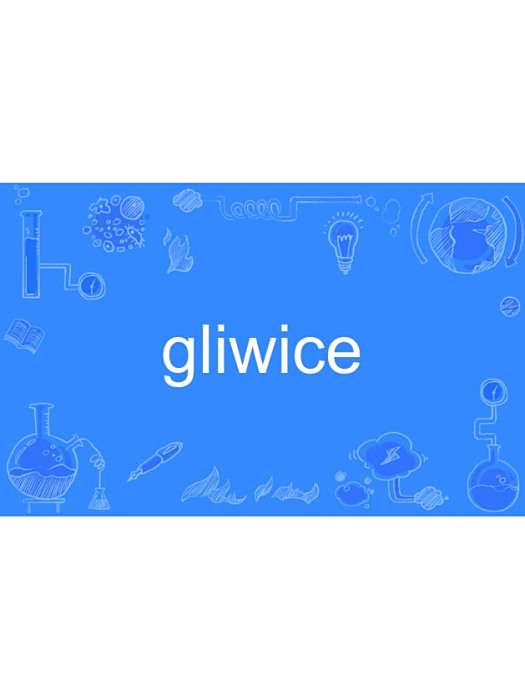 gliwice gliwice