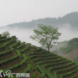 那陽村 那陽村