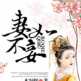 妻不如妾(水凝煙所著小說)