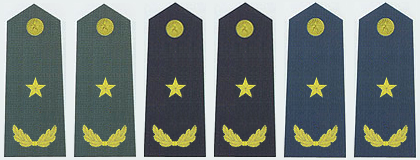 陸海空軍少將常服肩章(2007—)