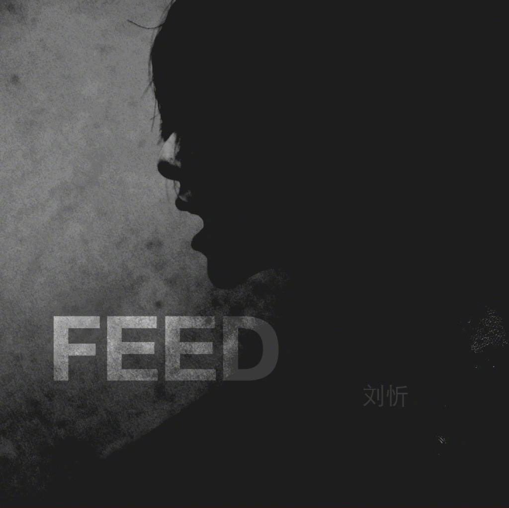 Feed(劉忻演唱歌曲)