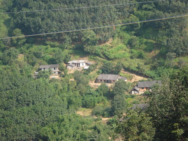 茶園新村 茶園新村