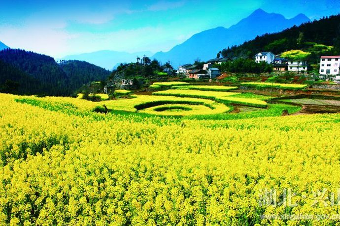 龍池(湖北省興山縣龍池) 龍池(湖北省興山縣龍池)