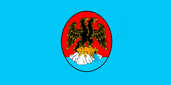 里耶卡市旗