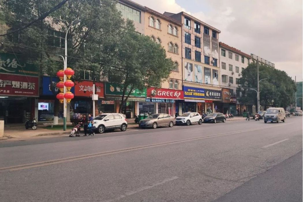 龍山北街 龍山北街