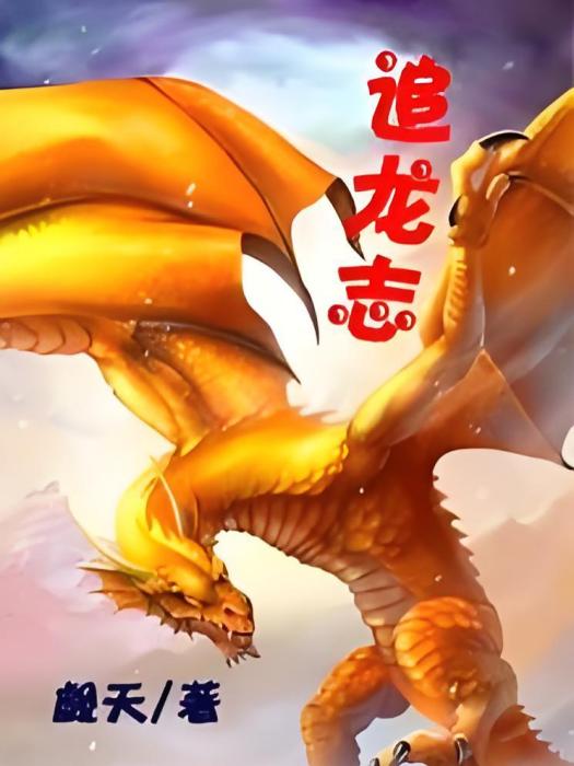 追龍志