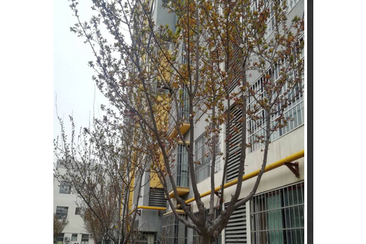 逸品園(西安市逸品園小區) 逸品園(西安市逸品園小區)