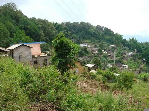 千崗村 千崗村