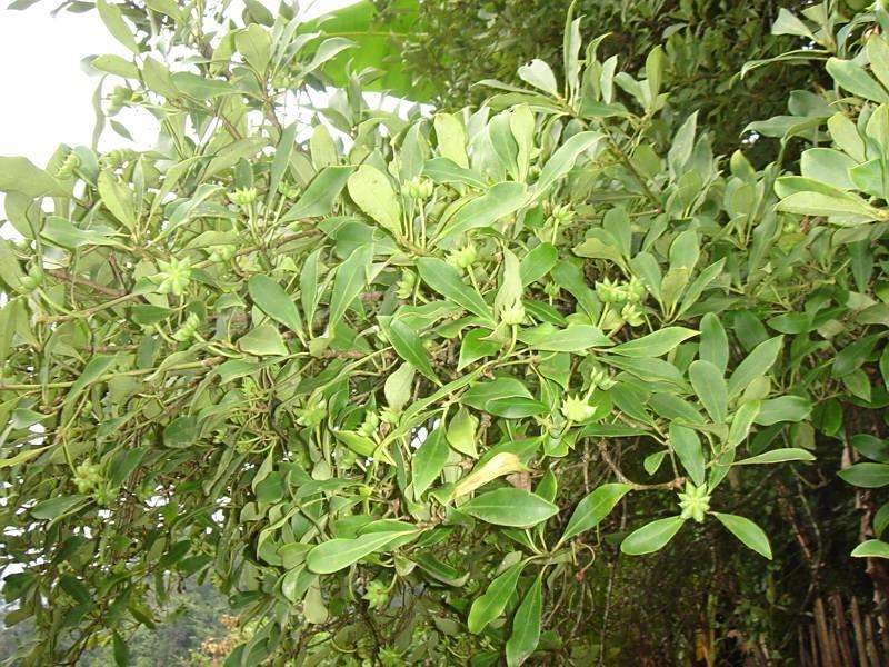 克瑪塘村