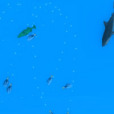 深海統治 深海統治