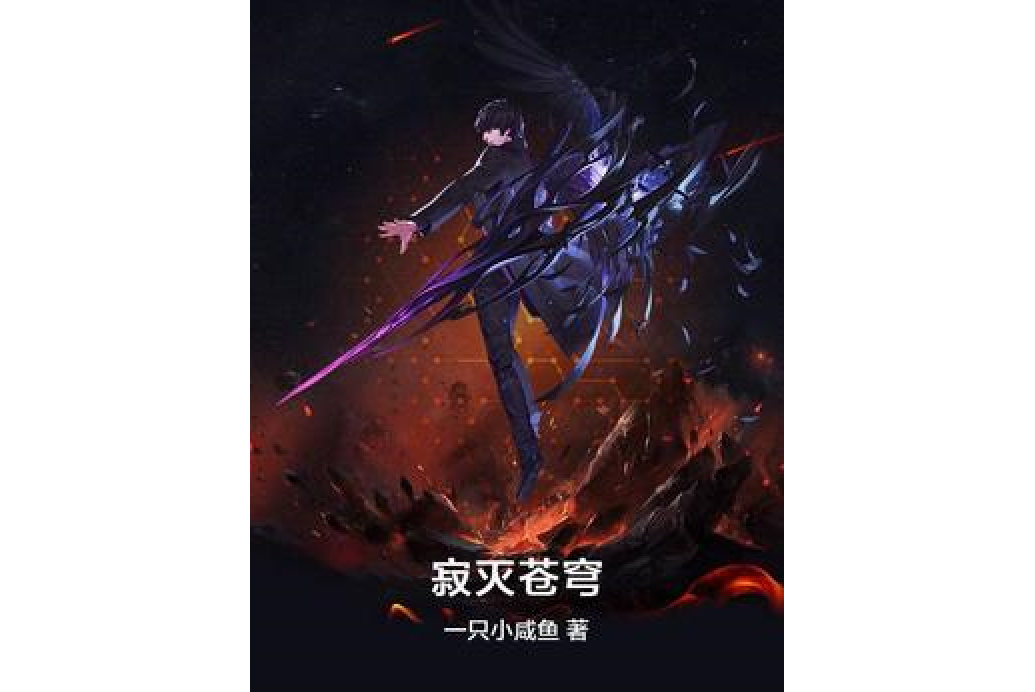 寂滅蒼穹(一隻小鹹魚所著小說)