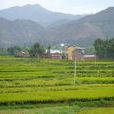 岔河自然村(雲南省大理巍山縣南詔鎮岔河自然村) 岔河自然村(雲南省大理巍山縣南詔鎮岔河自然村)