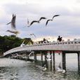 大濠公園 大濠公園