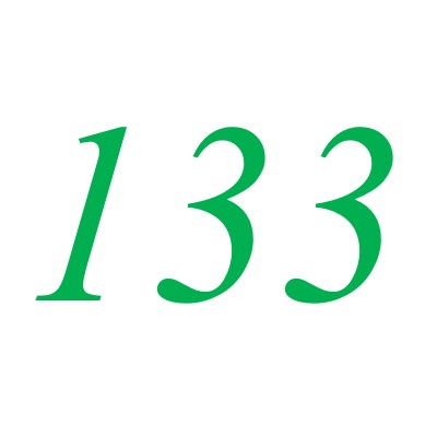 133(自然數之一)