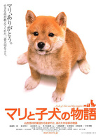 愛犬的奇蹟(2007年日本電影)