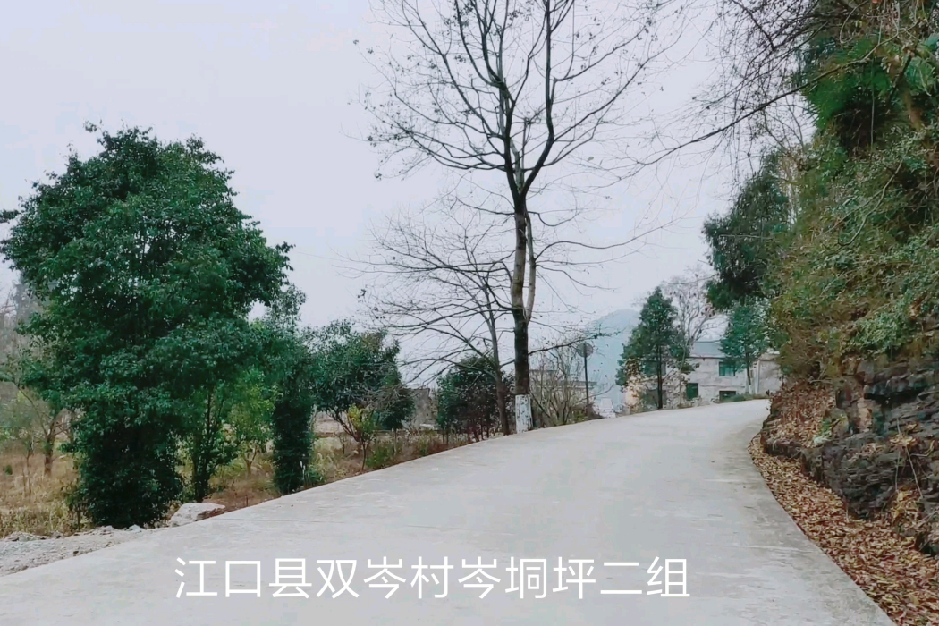 雙岑村 雙岑村