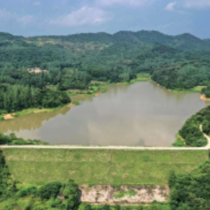 吊橋水庫 吊橋水庫