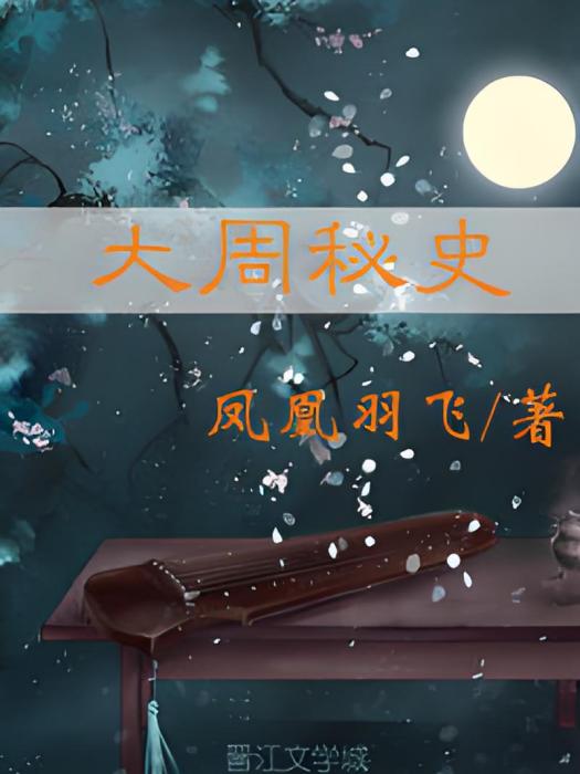 大周秘史 大周秘史