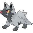 土狼犬 土狼犬
