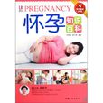 懷孕知識百科(2010年中國人口出版社出版圖書)