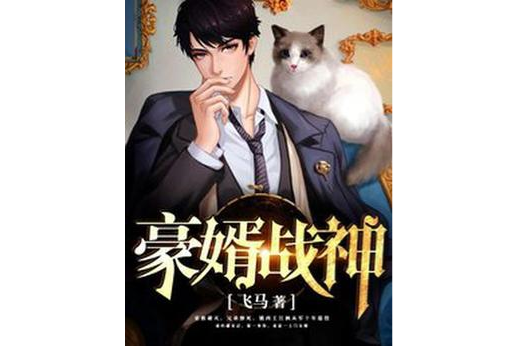 豪婿戰神(飛馬所著小說) 豪婿戰神(飛馬所著小說)