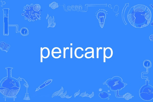 pericarp pericarp