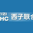 西子(一家以裝備製造為主的綜合型企業集團)