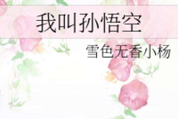 我叫孫悟空 我叫孫悟空